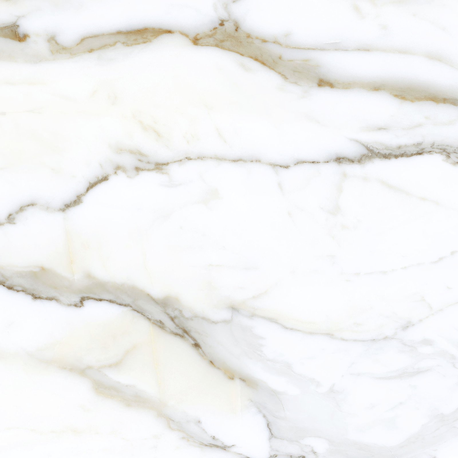 Porcelanato Calacatta Pan Polido 94x94 (cod23194)